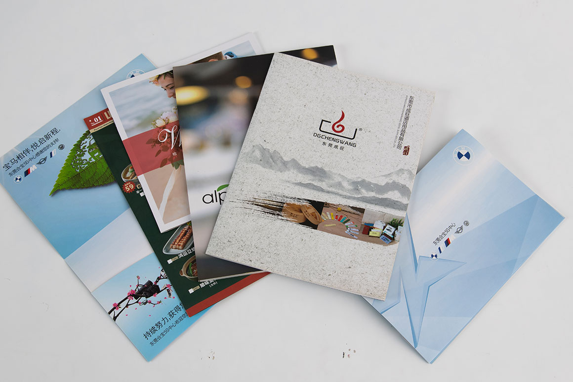 寶馬(ma)汽車客戶定(ding)制畫冊